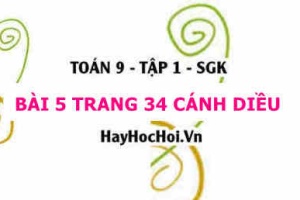 Bài 5 trang 34 Toán 9 tập 1 Cánh Diều
